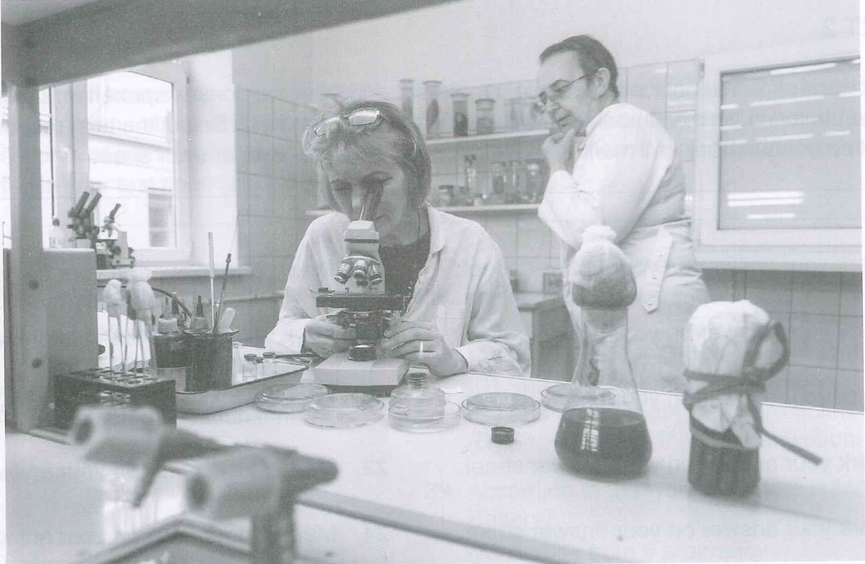 TOEIC Question Image